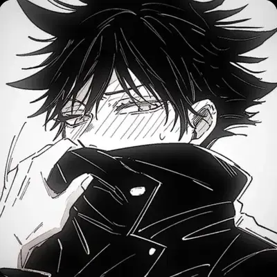 FestalSeal5671의 Megumi fushiguro