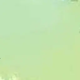 Profile image of オットー