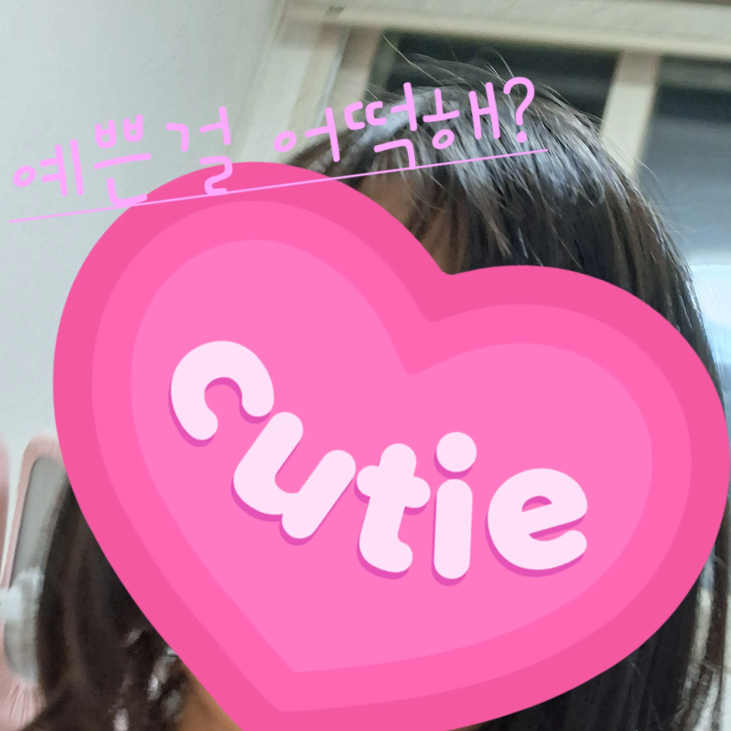 WindyTulip5766의 수예홀라