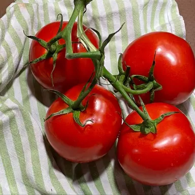 Profile image of 박선우