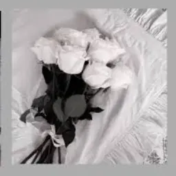 Profile image of グンモ