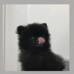 Profile image of ジェウォン