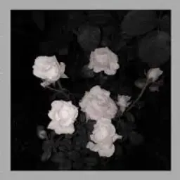 Profile image of ハンス