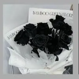 Profile image of サンミン