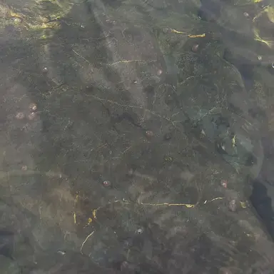 Profile image of 컨휴