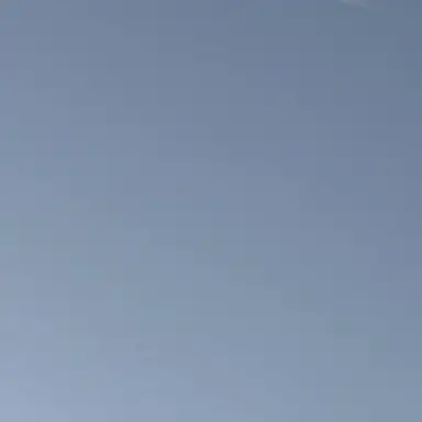 Profile image of 監督