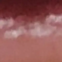 Somyeol1234의 팀나빠 당신은 우유참치의 고양이?!