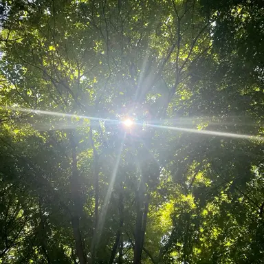 Profile image of 팬텀하츠