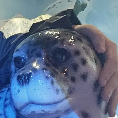 Profile image of 박시연