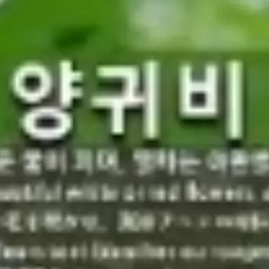 Profile image of 파피