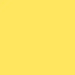 Profile image of ノートン
