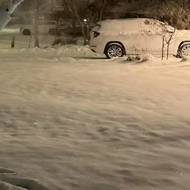 Profile image of 바나클