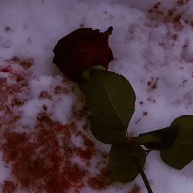 Profile image of 선우