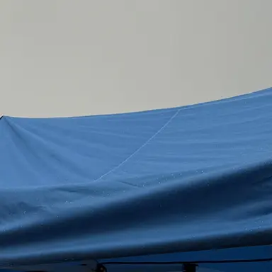 Profile image of 백하준