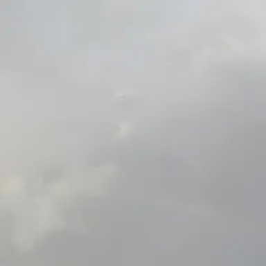 Profile image of 유하림