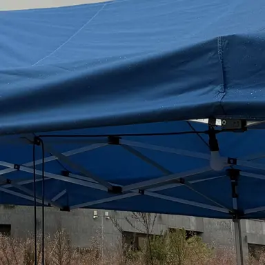 Profile image of 박하율