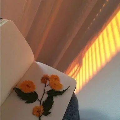 Profile image of 제미니
