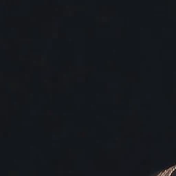 윤졍한