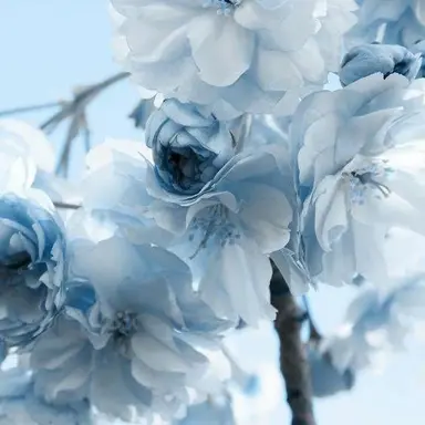 Profile image of 山姥切長義