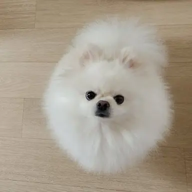 Profile image of 구름이