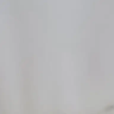 Profile image of 강필범