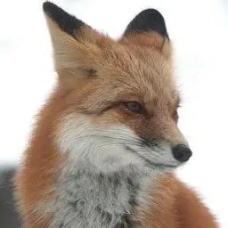 Profile image of キム・ヨウ