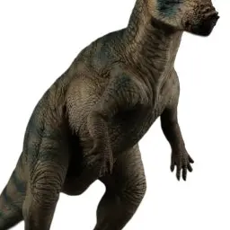 Profile image of 파키