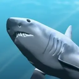 Profile image of 메기