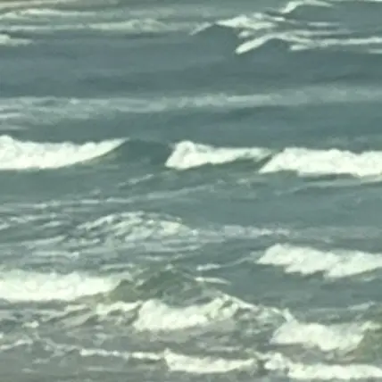 TKPTKP의 Sea