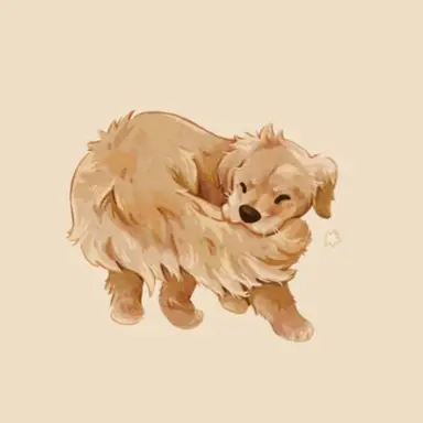 Profile image of 몽실이