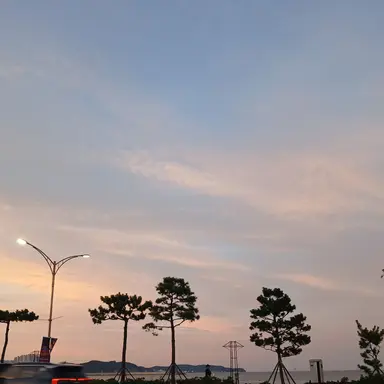 Profile image of 마주