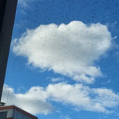 Profile image of 아름