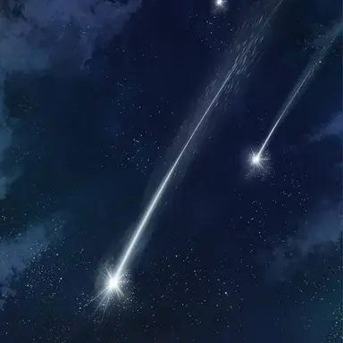 Profile image of 나 준