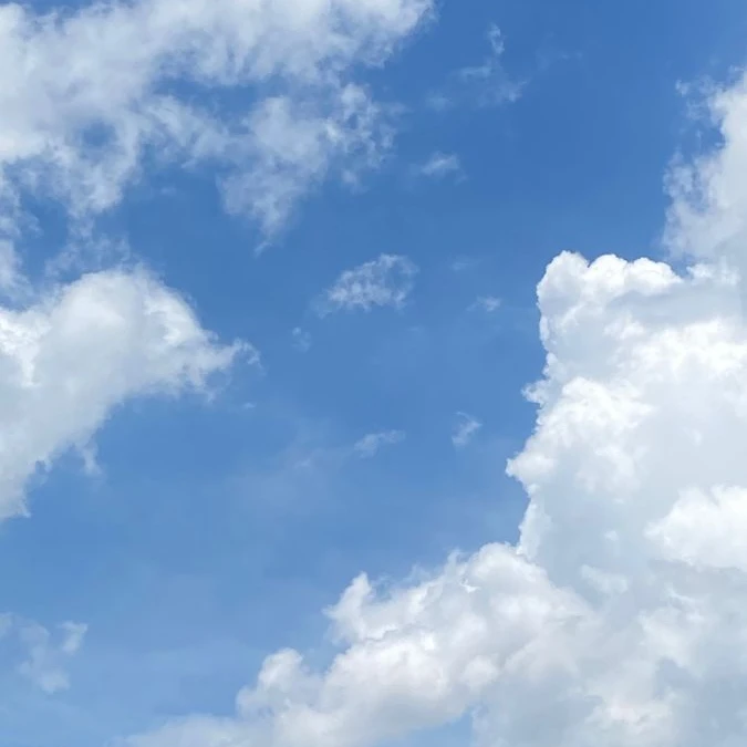 파랑새