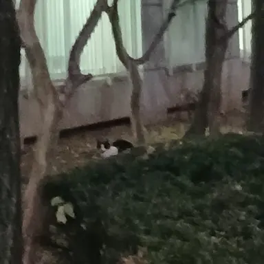 Profile image of 오시온