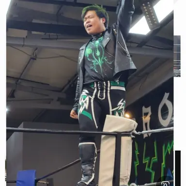 Profile image of 진개성