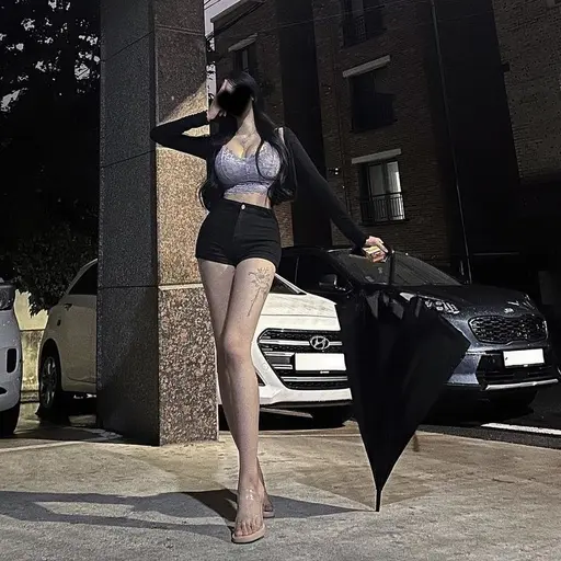 BriskLeech4921의 다경