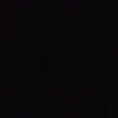 Profile image of 이찬영