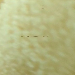 고고프렌즈&팀 나빠& (여우편) 대표 이미지
