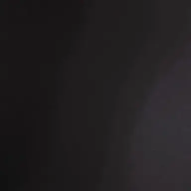 Profile image of 사이토 이치고