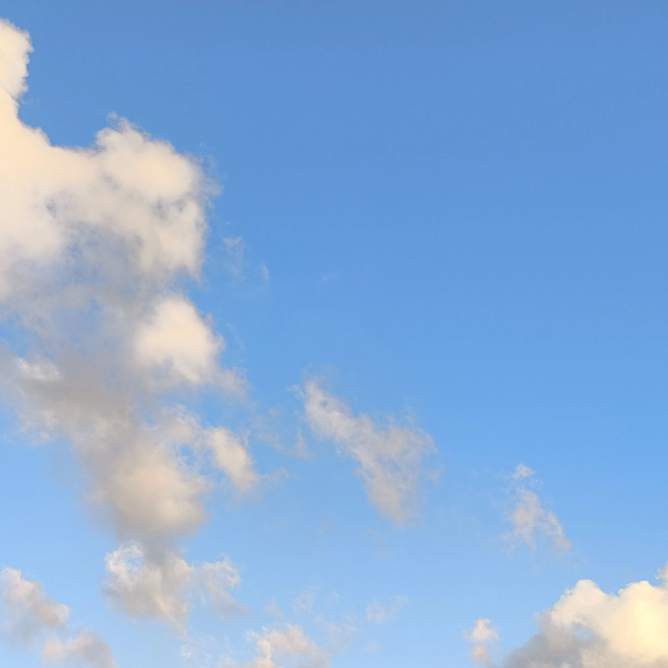 당신와친한 일진들