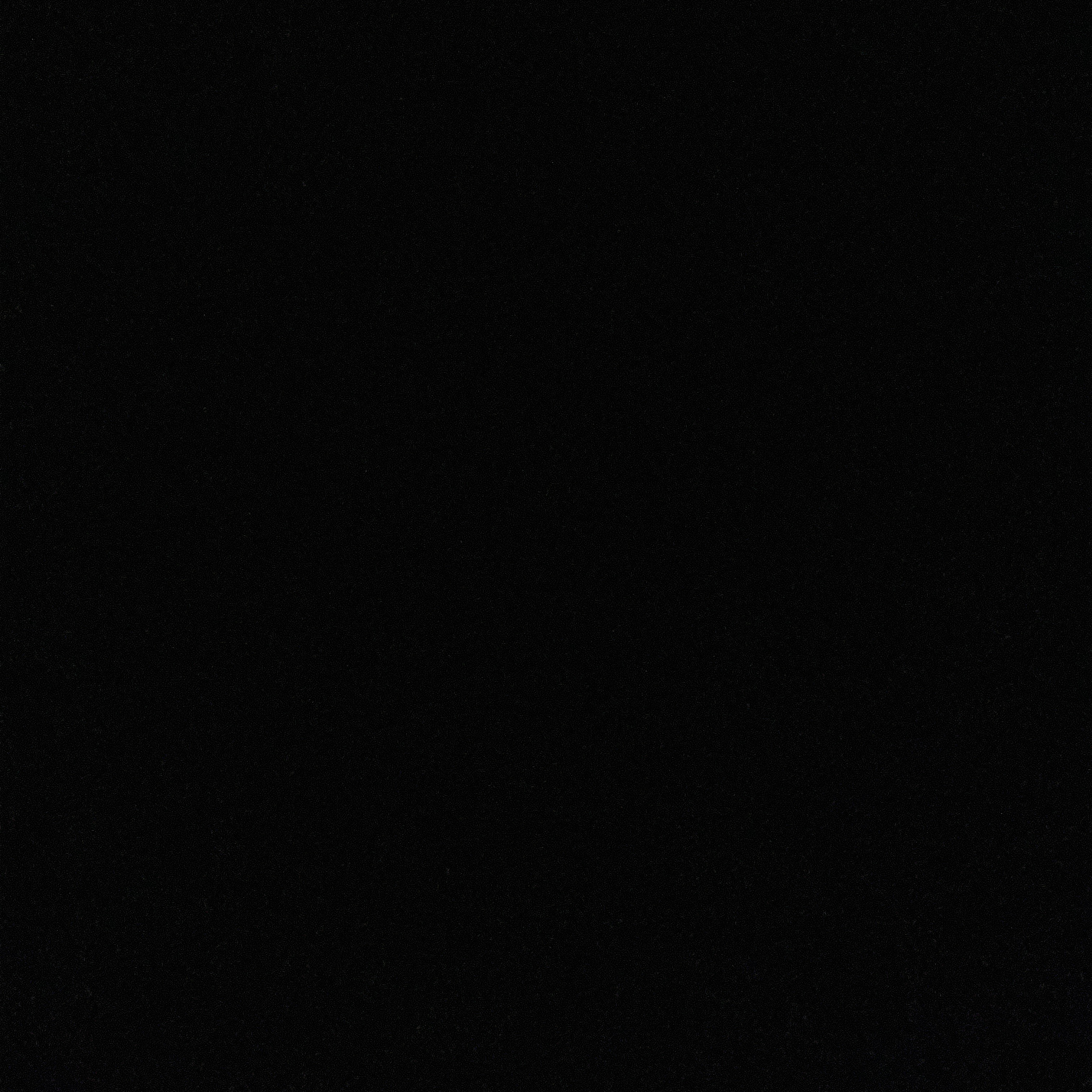 비스트에이션트 동거 대표 이미지