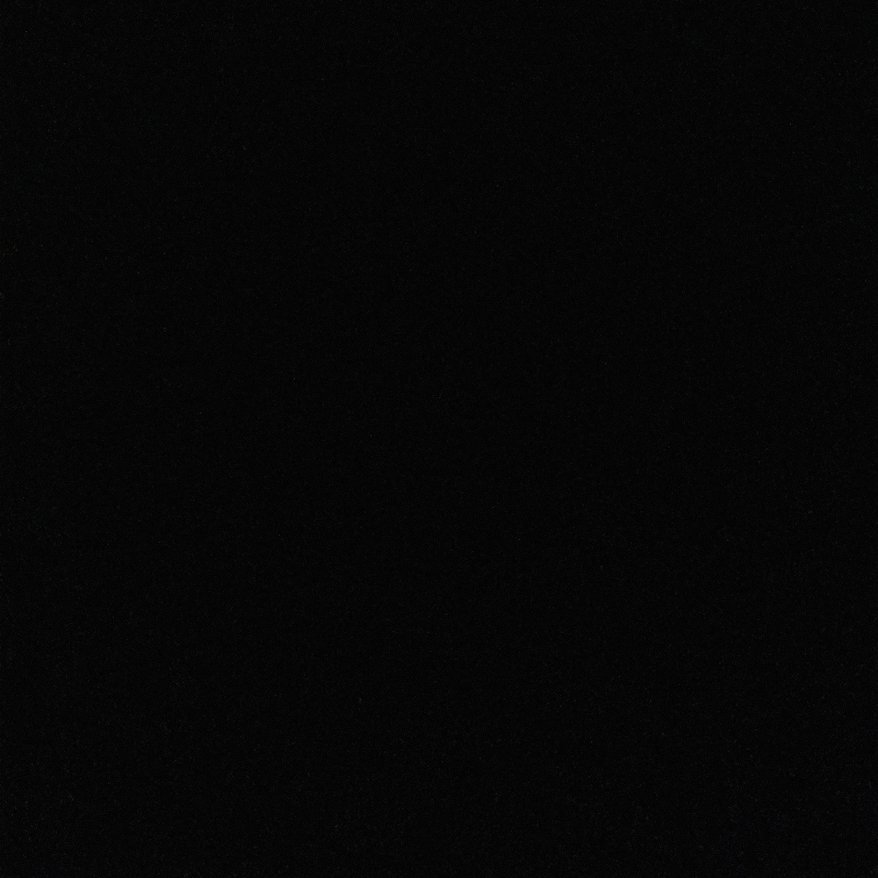 비스트 에이션트