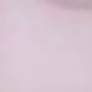 최립우