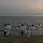 스트레이키즈