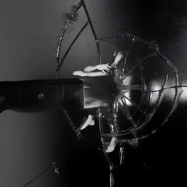 Profile image of 이선웅