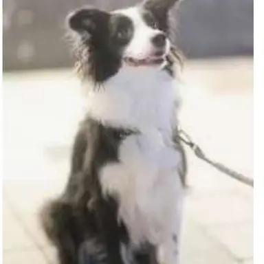 Profile image of 보덕