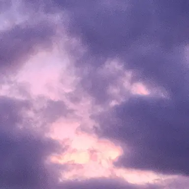 Profile image of 감제이