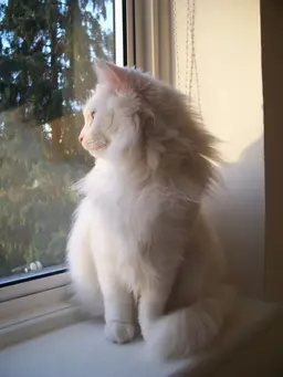 Profile image of Mila