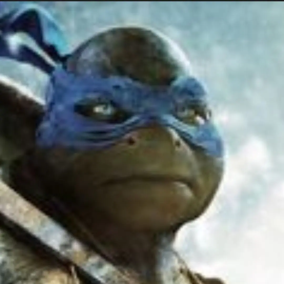 RoundOtter6861의 TMNT